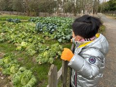 -前小桔亲子创意农场·草莓采摘·露营烧烤