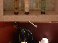 -厦门喜来登酒店