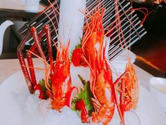 熟醉罗氏虾-人间采蜜(海信广场店)