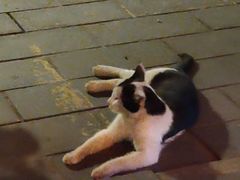 -耍都美食广场