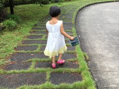 -千岛湖东南湖区