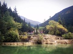 -黄龙山原始森林景区