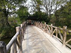 -南汇桃花村