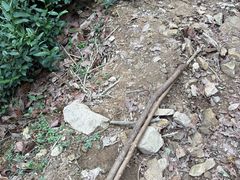 -北仑森林植物园