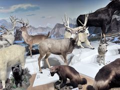 -陕西自然博物馆