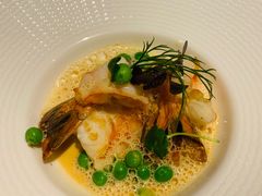 -蝶舍·MAISON PAPILLON