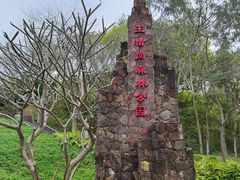 -王借岗森林公园