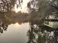 -人民公园(罗湖区)