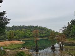 -大雁山风景区