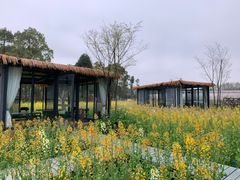 -洪湖家庭农场·团建·露营·会议