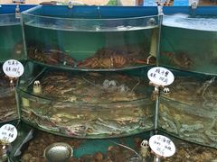 -睿柏云酒店-餐厅