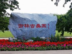 -御林古桑园