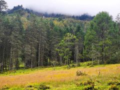 -硗碛藏寨·神木垒景区