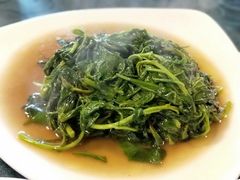 清炒枸杞菜-漕溪人家