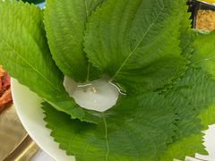 -御品海鲜·东北菜·烧烤餐厅(佳兆业店)
