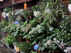 -龙姐私房菜(和顺古镇店)