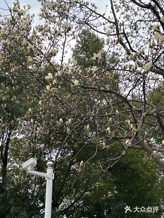 武定门公园图片