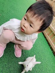 -萌宠亲子动物乐园(槐房万达店)