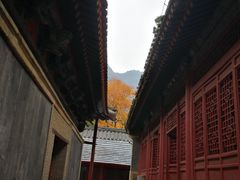 -北京上方山国家森林公园