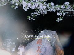 -武汉大学-樱园