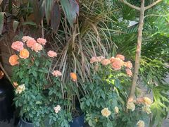 -春暖花开(西溪店)