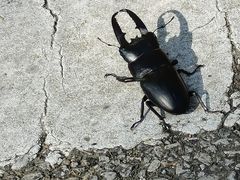 -木兰云雾山