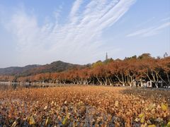 -北山街历史文化街区
