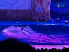 -华夏文旅海洋公园