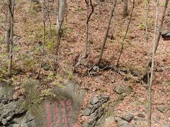 -天女山森林公园