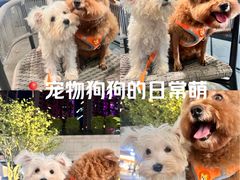 -星巴克(南宁华润幸福里店)