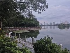 -南宁南湖公园