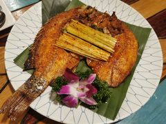 -紫滇源云南生态菜(丹凤街店)