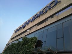 -上海外滩英迪格酒店