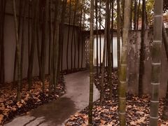 -穹六人间 people 6(岳阳路店)