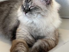 -怪兽屋·羊驼·猫咖·狗咖(俊华广场店)