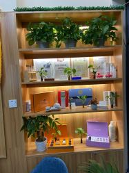 -丝客富脱发养发头皮馆