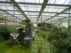 景点-观光南瓜园