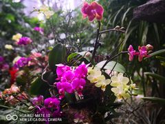 景点-广州珠江公园