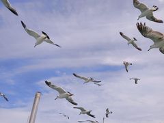 -海驴岛(荣成市)