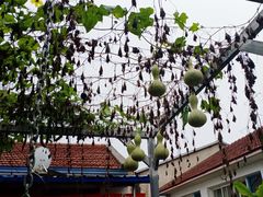 -姥家大锅台水库渔家
