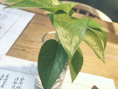 -炖物24章·顺时轻养茶(杭州大厦店)