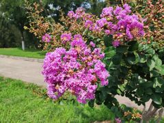 -北京十三陵国家森林公园蟒山景区