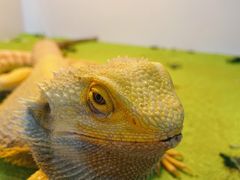 -华声天桥民俗文化园