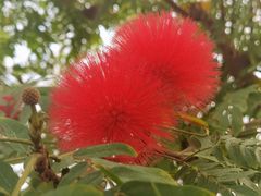 -北京植物园-展览温室