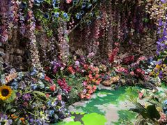 -正佳雨林生态植物园