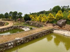 -军营村