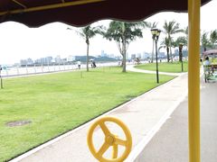 -野狸岛