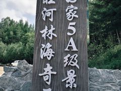 -汤旺河林海奇石景区
