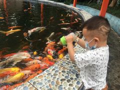 -南湖梦幻岛