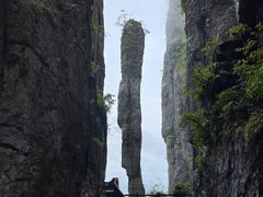 -恩施大峡谷